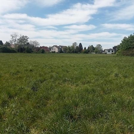 Stadtgruen 2 柏林 外观 照片